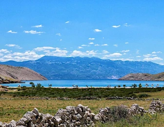 Istraživanje: saznajte s kojih tržišta vlada najveći interes za Hrvatskom